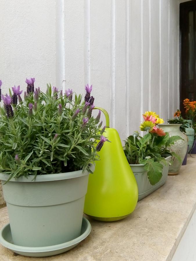 Aquarius Rome Bed & Breakfast Bagian luar foto